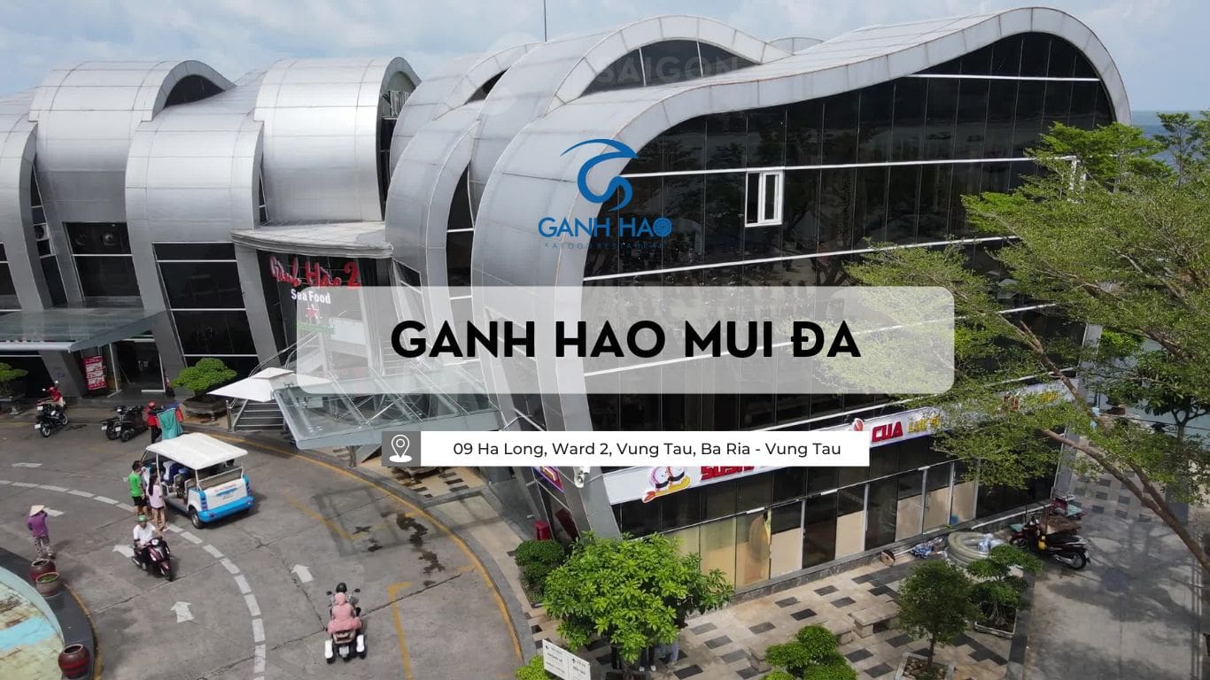 du an ganh hao sgh