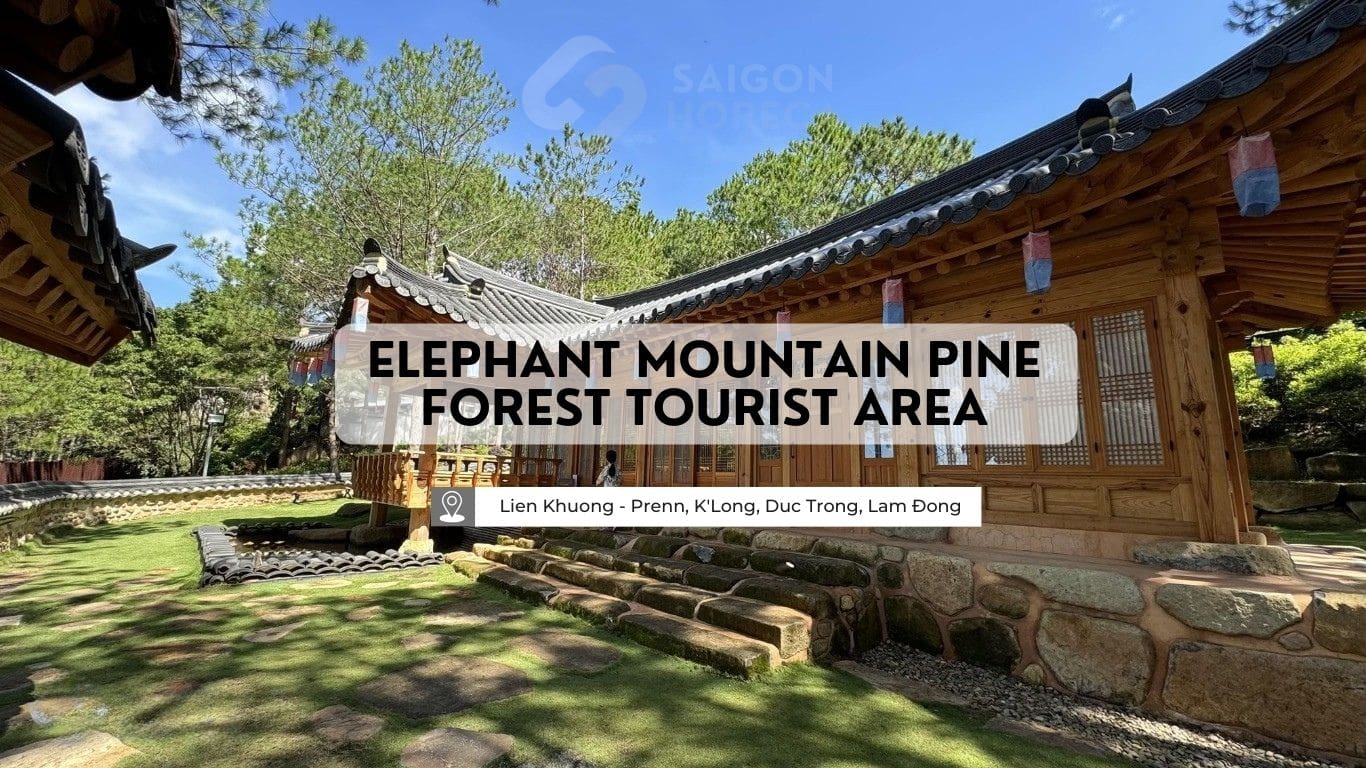 ELEPHANT MOUNTAIN PINE FOREST TOURIST AREA